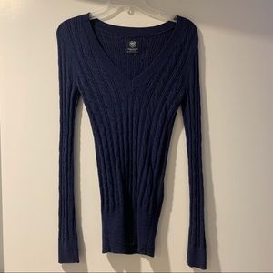 American Eagle Blue Sweater